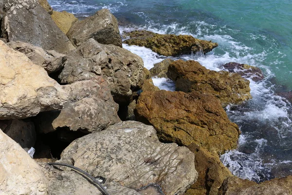 Pedras Conchas Costa Mediterrânea Norte Israel — Fotografia de Stock