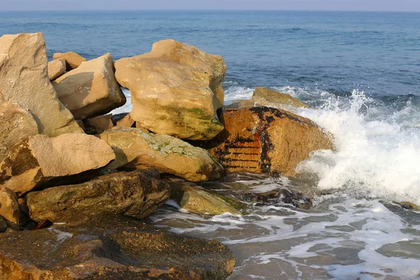 Pedras Conchas Costa Mediterrânea Norte Israel — Fotografia de Stock