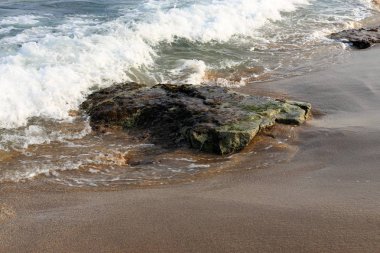 İsrail'in kuzeyinde Akdeniz kıyısında taş ve kabukları 