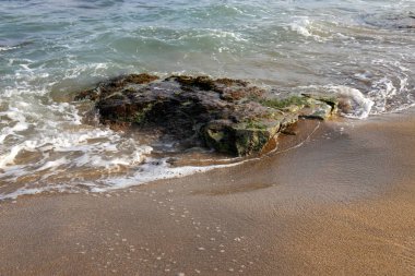 İsrail'in kuzeyinde Akdeniz kıyısında taş ve kabukları 