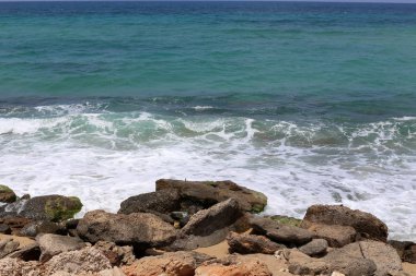 İsrail'in kuzeyinde Akdeniz kıyısında taş ve kabukları 