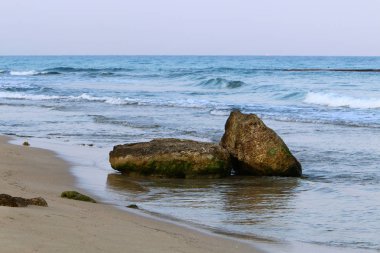 İsrail'in kuzeyinde Akdeniz kıyısında taş ve kabukları 