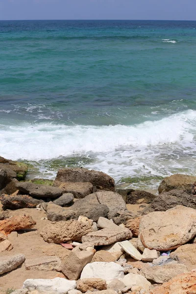 Kamienie Muszle Wybrzeżu Morza Śródziemnego Północnej Części Izraela — Zdjęcie stockowe