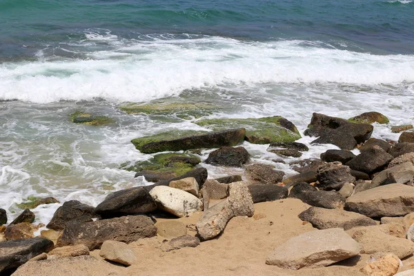 Stenen Schelpen Aan Middellandse Zeekust Het Noorden Van Israël — Stockfoto