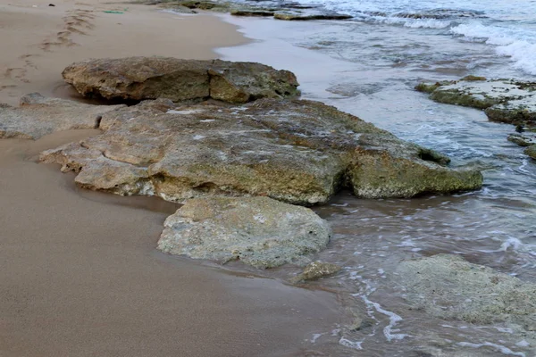 Каміння Снаряди Узбережжі Середземного Моря Півночі Ізраїлю — стокове фото