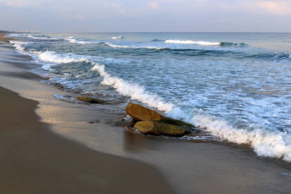 Piedras Conchas Costa Mediterránea Norte Israel — Foto de Stock