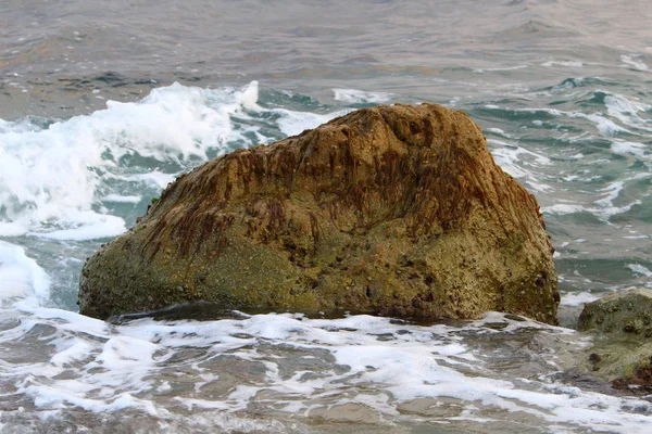 Srail Kuzeyinde Akdeniz Kıyısında Taş Kabukları — Stok fotoğraf