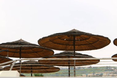 şemsiye ve şehir parkında yağmur 