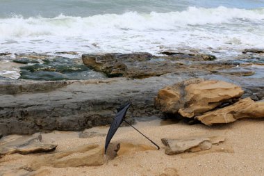şemsiye ve şehir parkında yağmur 