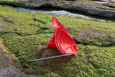 şemsiye ve şehir parkında yağmur 