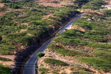 İsrail devletinin kuzeyinde dağlık orman dolambaçlı yol 