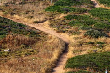 İsrail devletinin kuzeyinde dağlık orman dolambaçlı yol 