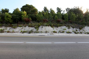 İsrail devletinin kuzeyinde dağlık orman dolambaçlı yol 