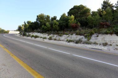 İsrail devletinin kuzeyinde dağlık orman dolambaçlı yol 