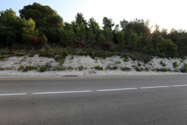 İsrail devletinin kuzeyinde dağlık orman dolambaçlı yol 