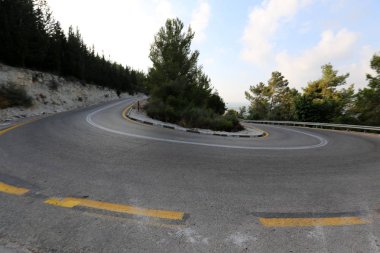 İsrail devletinin kuzeyinde dağlık orman dolambaçlı yol 