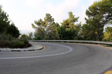 İsrail devletinin kuzeyinde dağlık orman dolambaçlı yol 