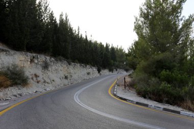 İsrail devletinin kuzeyinde dağlık orman dolambaçlı yol 