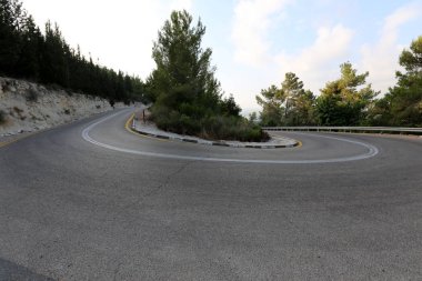 İsrail devletinin kuzeyinde dağlık orman dolambaçlı yol 