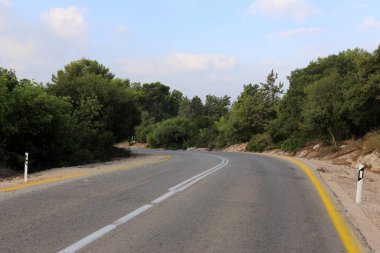 İsrail devletinin kuzeyinde dağlık orman dolambaçlı yol 