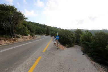 İsrail devletinin kuzeyinde dağlık orman dolambaçlı yol 
