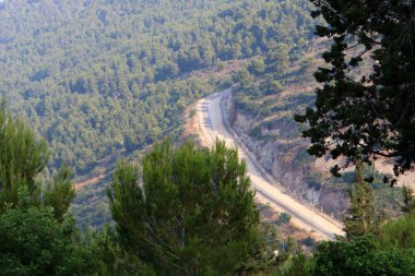 İsrail devletinin kuzeyinde dağlık orman dolambaçlı yol 