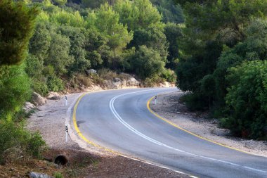 İsrail devletinin kuzeyinde dağlık orman dolambaçlı yol 