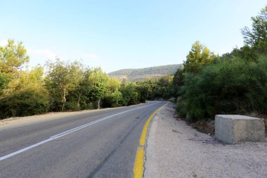 İsrail devletinin kuzeyinde dağlık orman dolambaçlı yol 