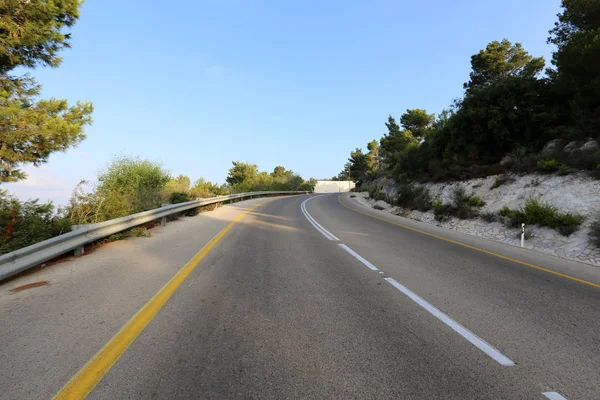 Route Sinueuse Forêt Dans Les Hauts Plateaux Nord État Israël — Photo