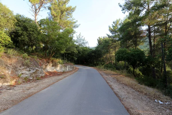 Waldkurvenstraße Hochland Norden Des Bundesstaates Israel — Stockfoto