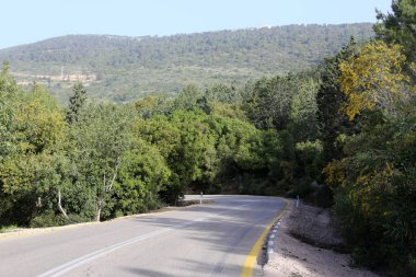 İsrail devletinin kuzeyinde dağlık orman dolambaçlı yol 