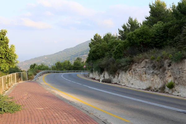 Srail Devletinin Kuzeyinde Dağlık Orman Dolambaçlı Yol — Stok fotoğraf