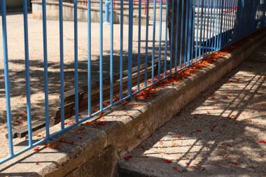 Kuzey Israil 'de Akdeniz kıyılarında bir şehir parkında çit 