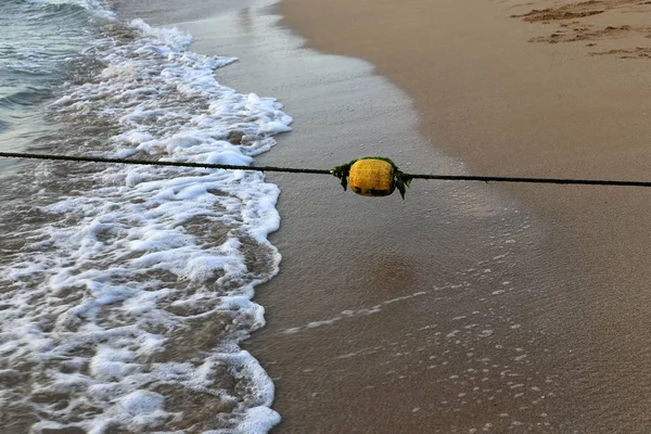 Corda Recinzione Sulla Spiaggia Sulle Rive Del Mar Mediterraneo Israele — Foto Stock