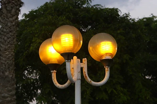 Linterna Para Iluminación Instalada Parque Urbano Norte Israel —  Fotos de Stock