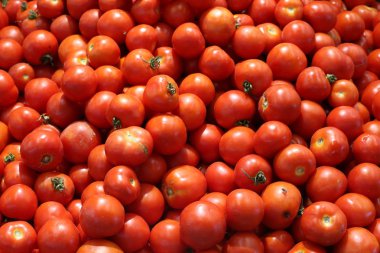 Taze meyve ve sebzeler Israil Acre kentinde bir pazarda satılır 