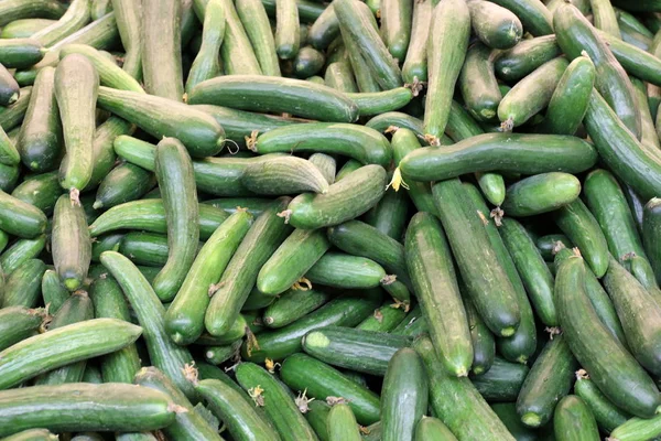 Färsk Frukt Och Grönsaker Säljs Marknad Staden Acre Israel — Stockfoto