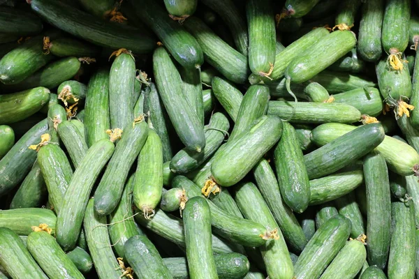 Frutta Verdura Fresche Vengono Vendute Mercato Nella Città Acri Israele — Foto Stock