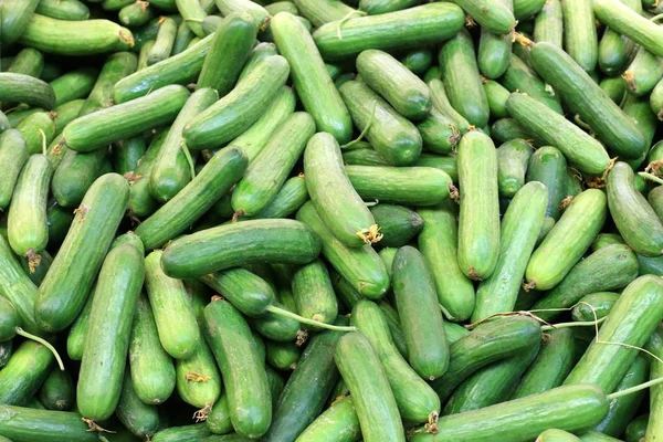 Friske Frugter Grøntsager Sælges Marked Byen Acre Israel - Stock-foto