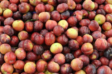 Taze meyve ve sebzeler Israil Acre kentinde bir pazarda satılır 