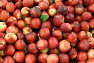 Taze meyve ve sebzeler Israil Acre kentinde bir pazarda satılır 