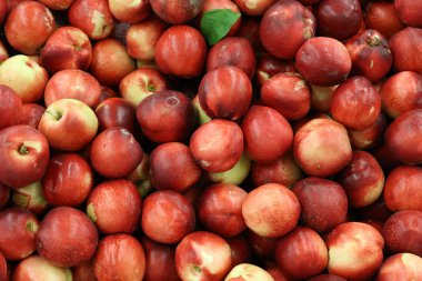 Taze meyve ve sebzeler Israil Acre kentinde bir pazarda satılır 