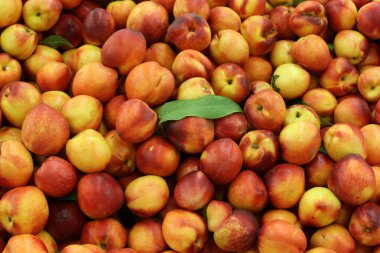 Taze meyve ve sebzeler Israil Acre kentinde bir pazarda satılır 