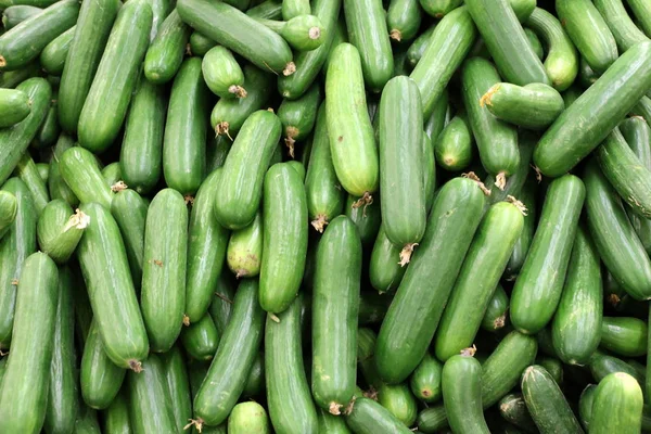 Verse Groenten Fruit Worden Verkocht Een Markt Stad Van Acre — Stockfoto