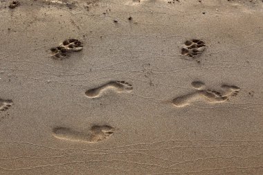 Israil Eyaleti kuzeyinde Akdeniz kıyılarında kum ayak izleri 