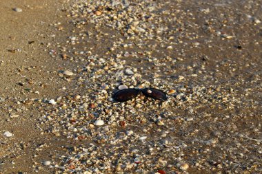 Israil Eyaleti kuzeyinde Akdeniz kıyılarında kum ayak izleri 