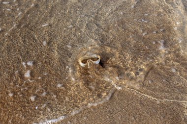 Israil Eyaleti kuzeyinde Akdeniz kıyılarında kum ayak izleri 