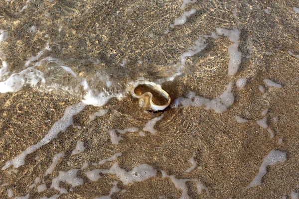 Pegadas Areia Nas Margens Mediterrâneo Norte Estado Israel — Fotografia de Stock