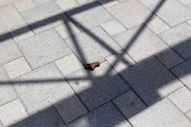 Kaldırım sokak şehir iki tarafında bulunan bir yaya geçit olduğunu. 