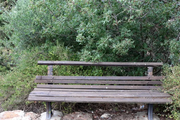 Banc Dans Parc Ville Sur Côte Méditerranéenne Nord Etat Israël — Photo